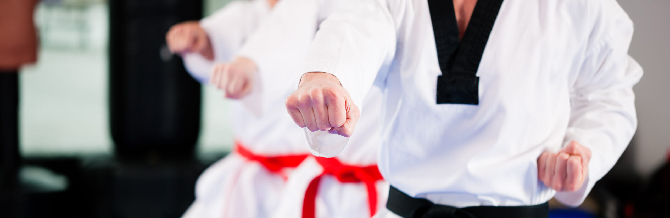 Infinite Martial Arts